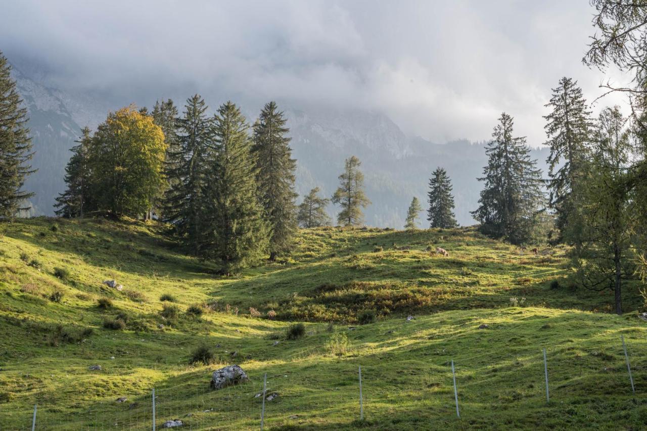 Lackner Тайзендорф Экстерьер фото